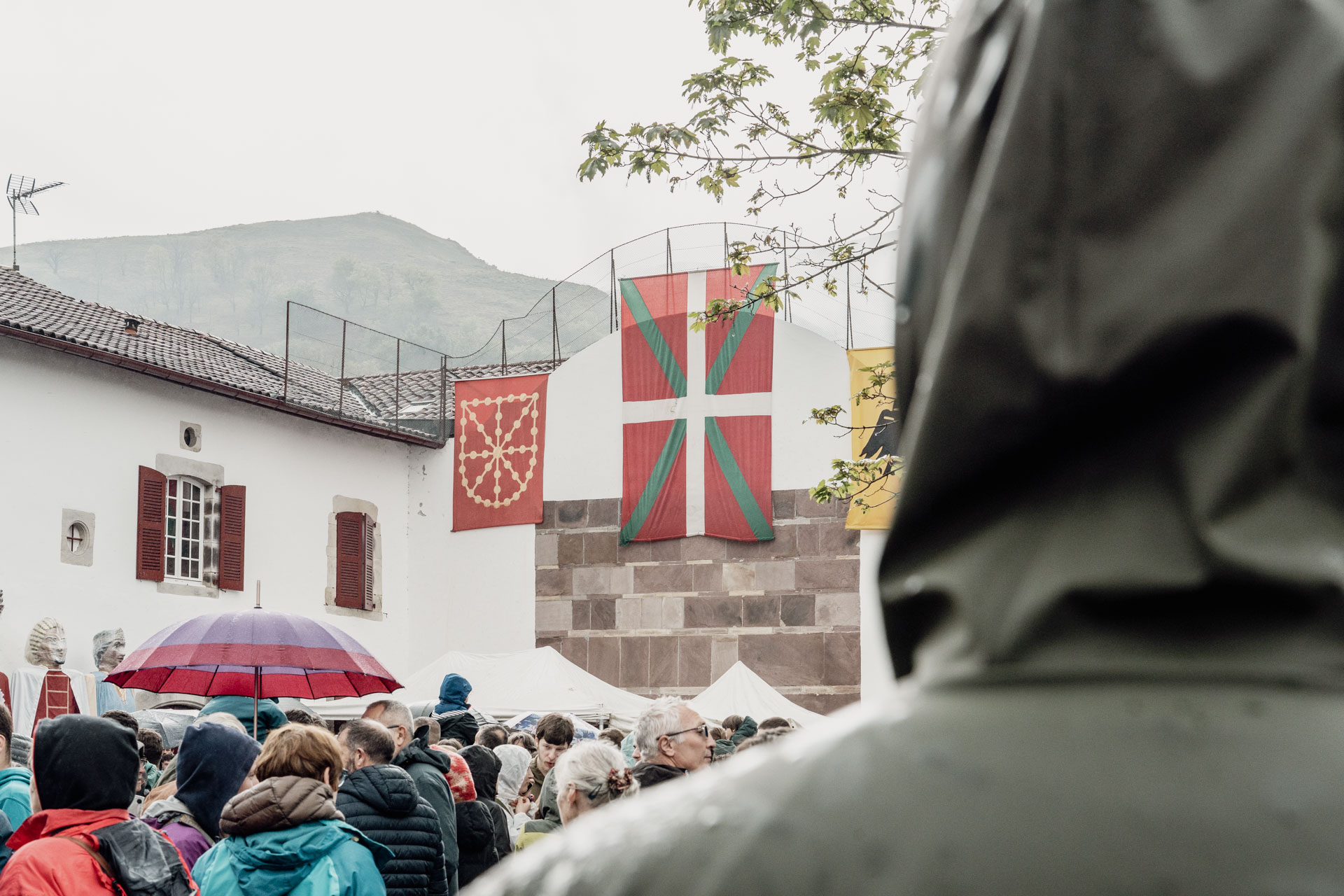 Iazko Nafarroaren Eguneko argazki bat. CAMILLE CHOPIN