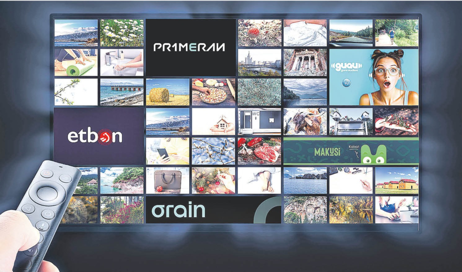 EITBren plataformak, pantaila artean. BERRIA