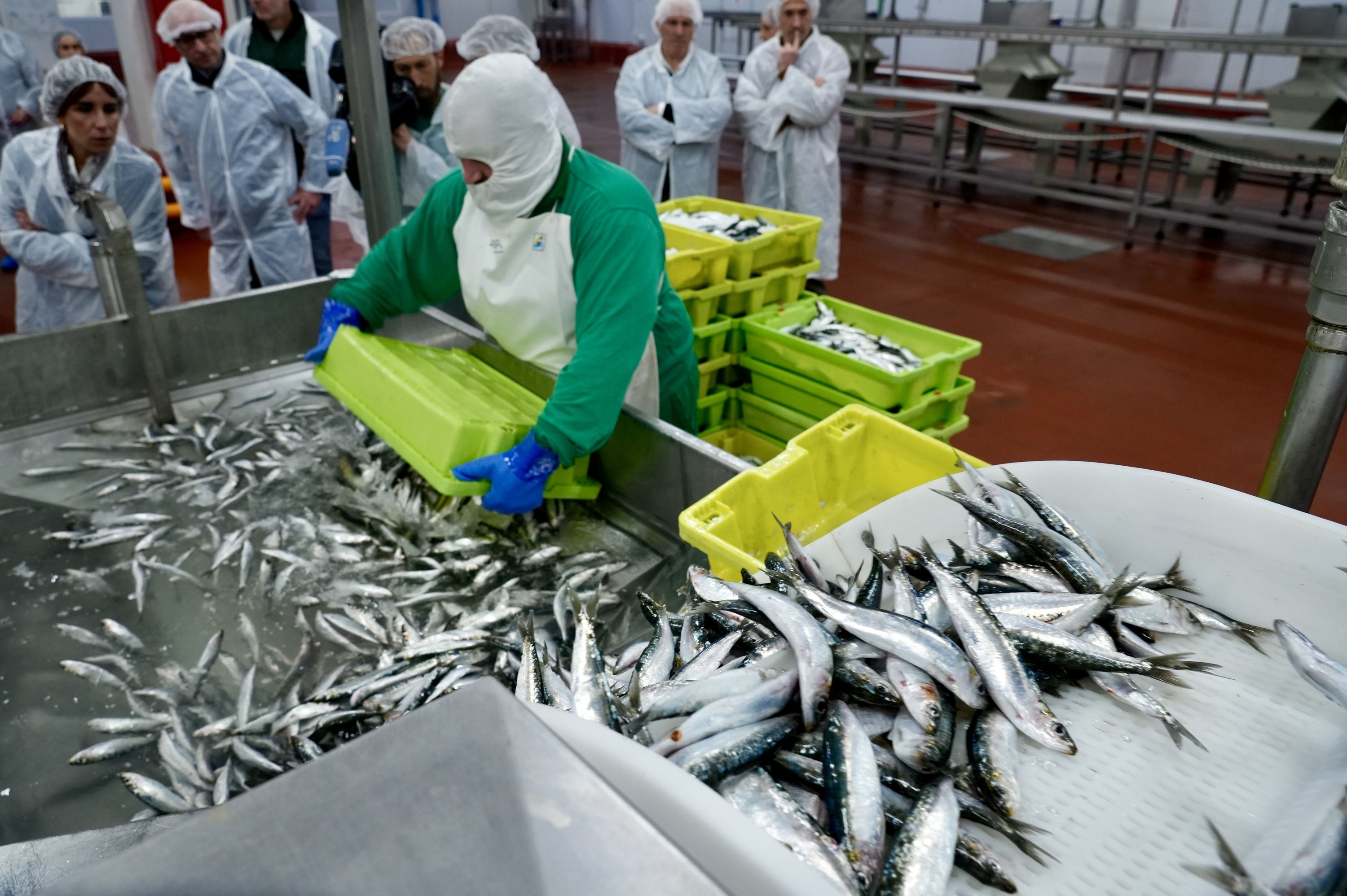 Langile bat, Berriatuko plantan, gaur. ANDONI CANELLADA / FOKU