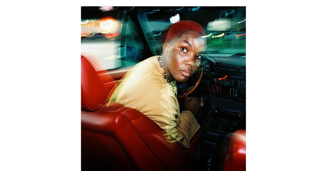 Arlo Parks musikariaren diskoaren azala.