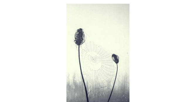 Ane Zubeldia Magriñaren 'Datorren udan ez gara hemen biziko' liburuaren azala. IRUNE IZQUIERDO