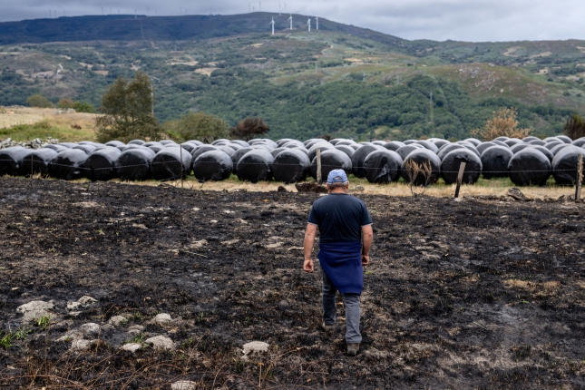 ESPAÑA INCENDIOS FORESTALES (CRÓNICA)