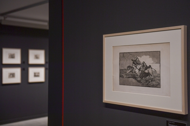 Goya- Arabako Arte Ederren Museoa Goya- Arabako Arte Ederren Museoa