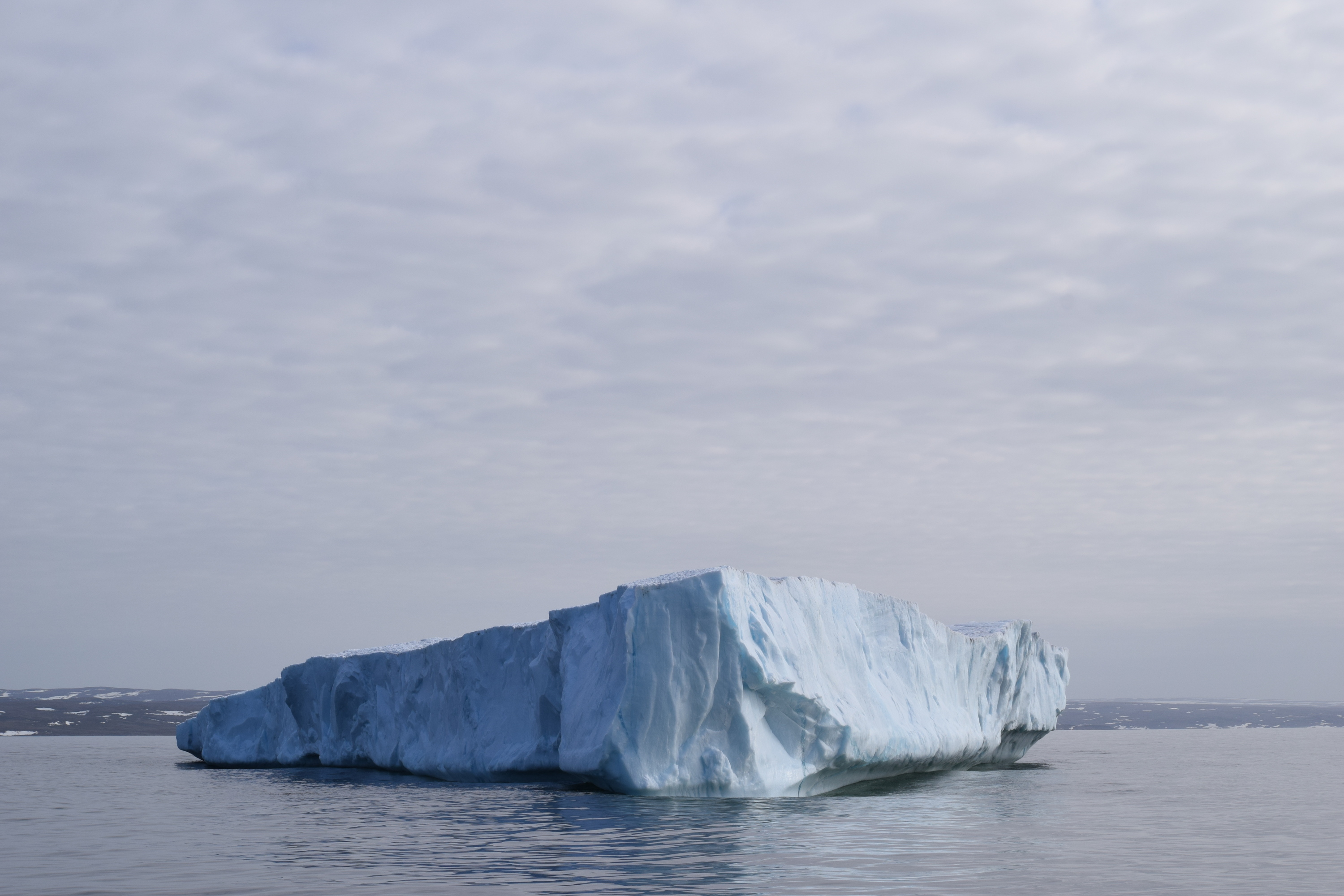 Icebergak ohikoak dira egunotan Red Bayn. Artikotik iristen dira. ENEKOITZ TELLERIA