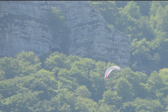 Parapente hegaldiak, Entziako KBEan, hegaztiek bizitoki dituzten labar batetik gertu. EKOLOGISTAK MARTXAN