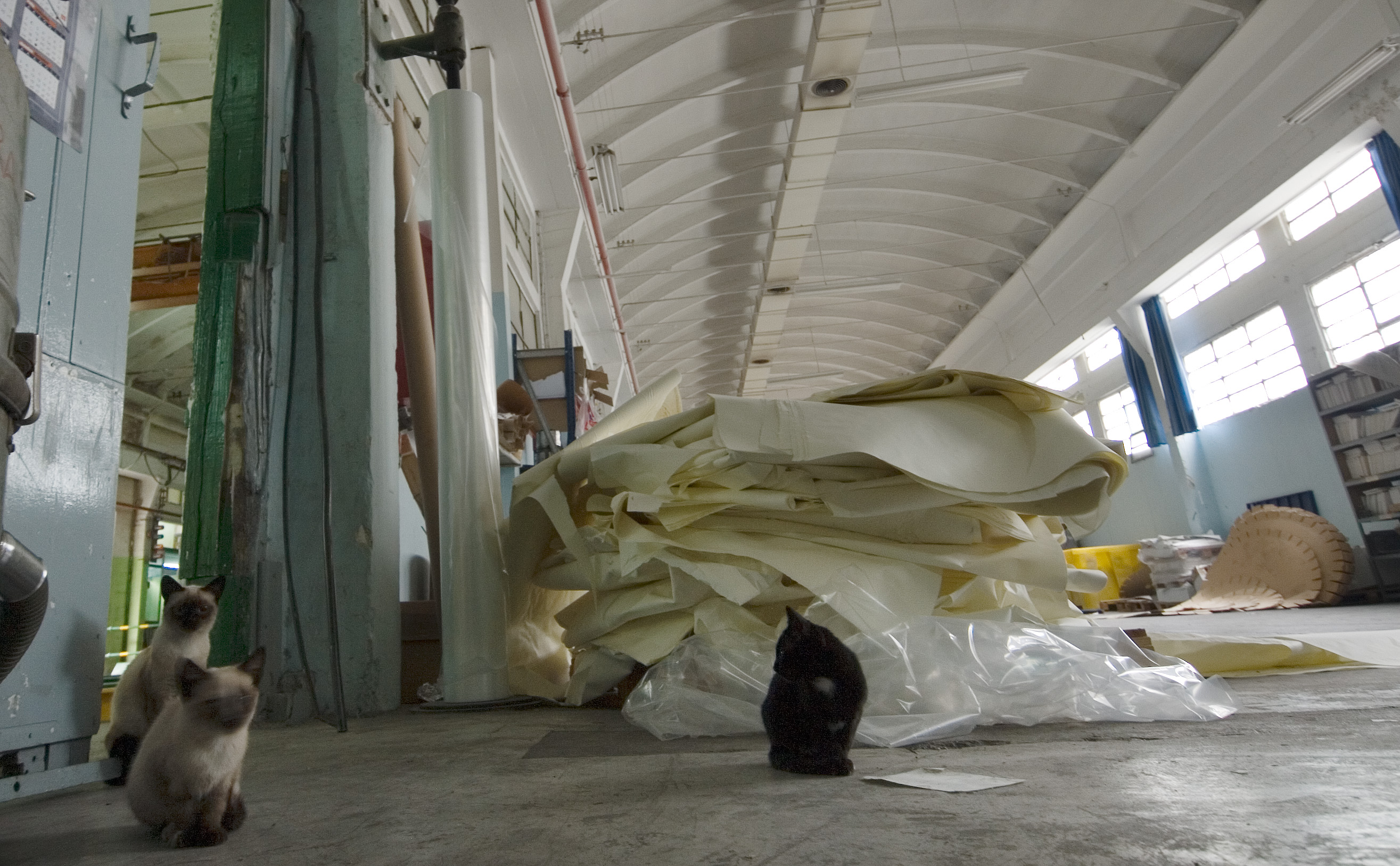 Itxitako paper fabrika bat, Andoainen. JON URBE / FOKU
