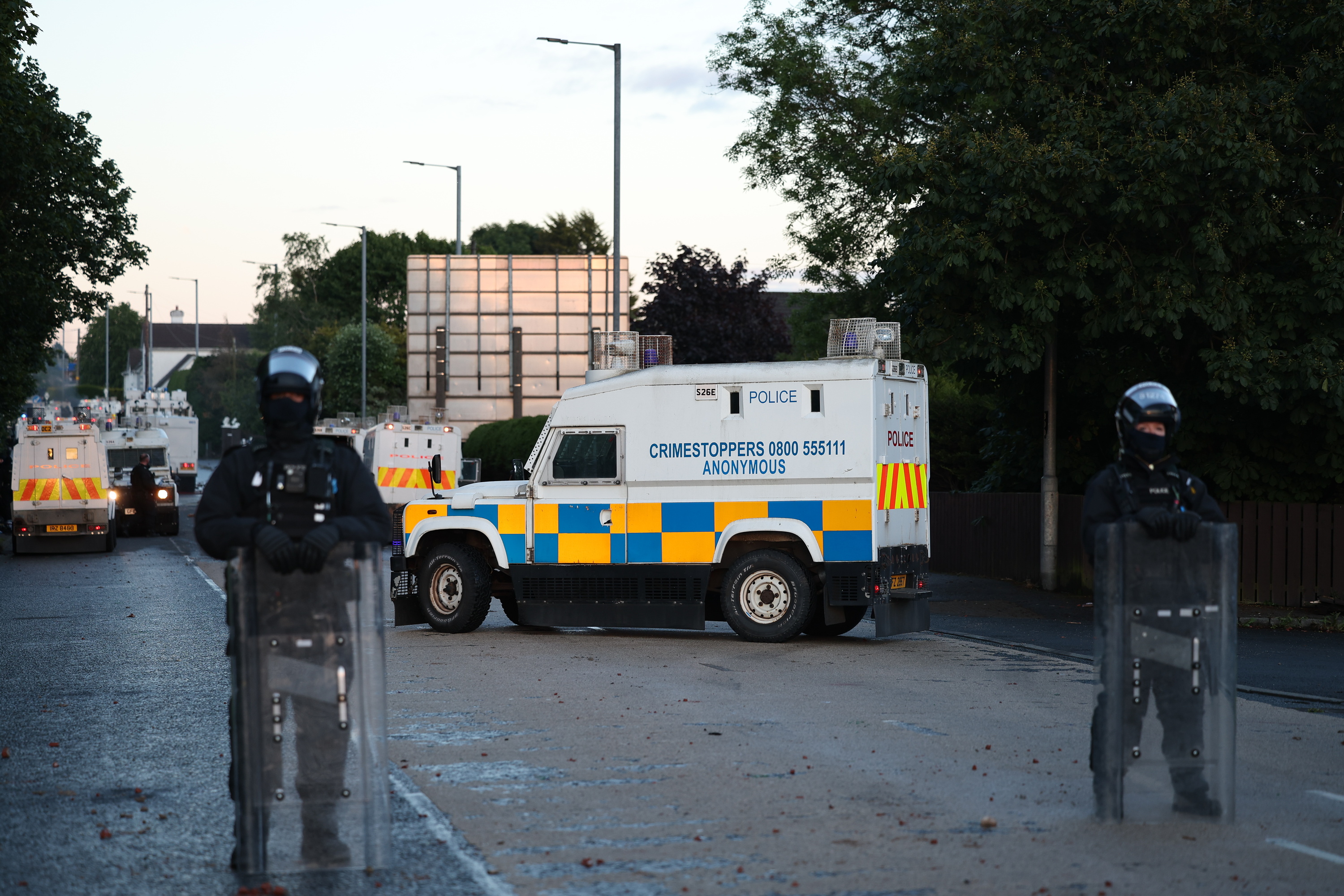 Polziak, adi, Belfast iparraldean.