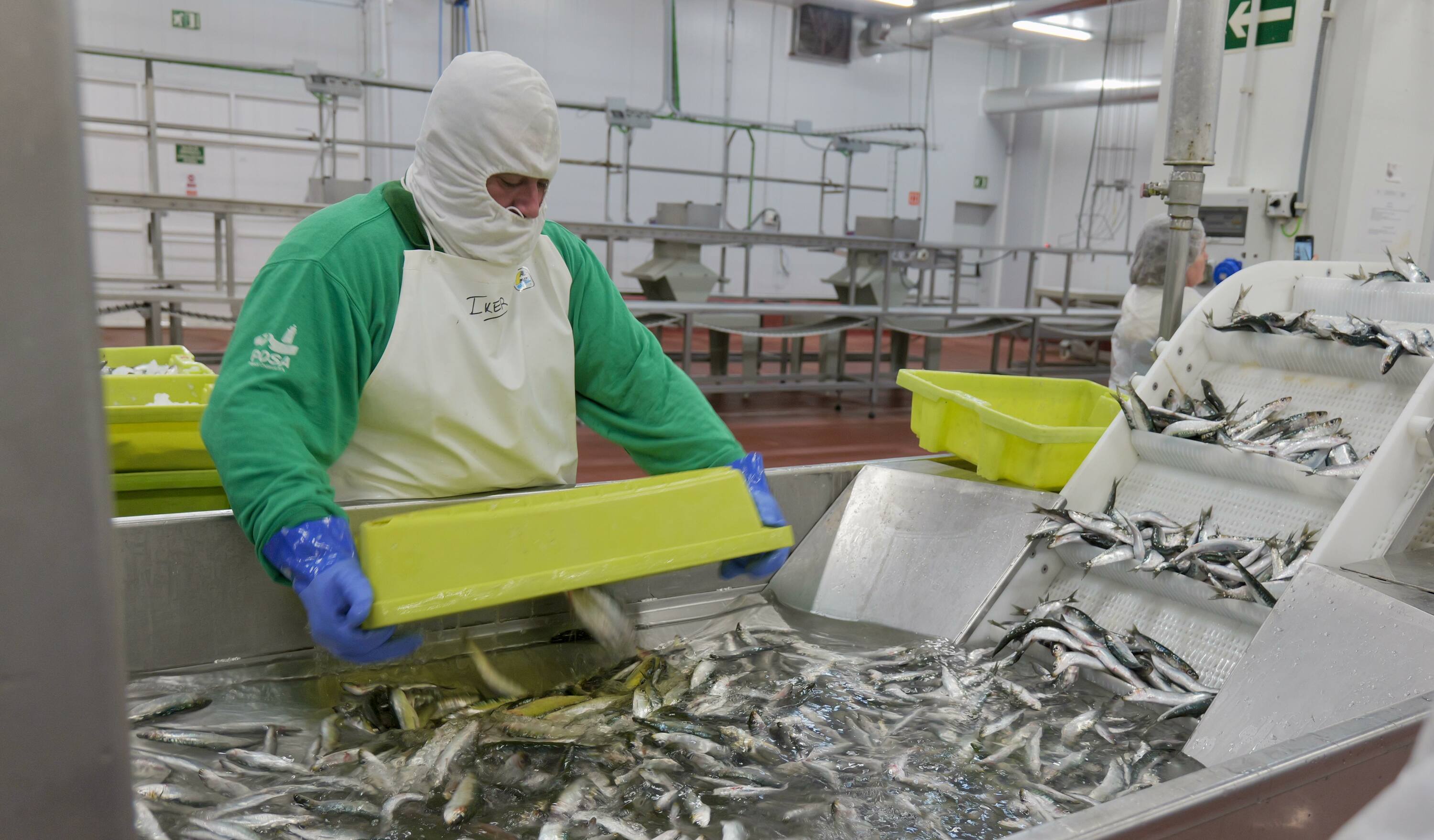 Kofradia Basque Seafood