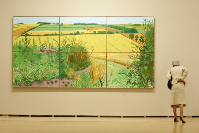 Bilboko Guggenheim museoak 2012an Hockneyri eskainitako erakusketa. ALFREDO ALDAI / EFE Bilboko Guggenheim museoak 2012an Hockneyri eskainitako erakusketa. ALFREDO ALDAI / EFE