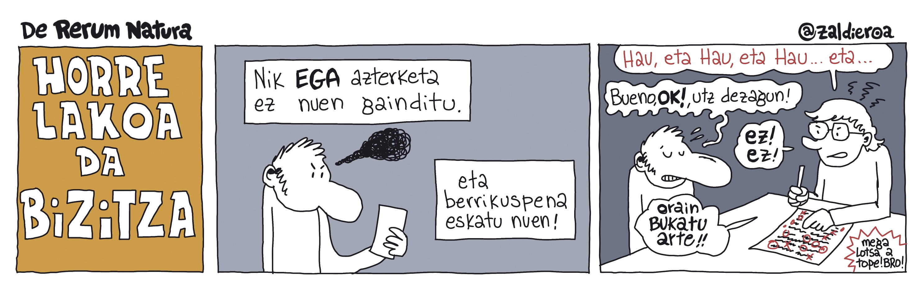 Zaldieroa