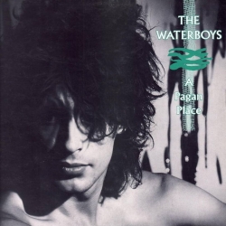 The Waterboys / 'A Pagan Place'