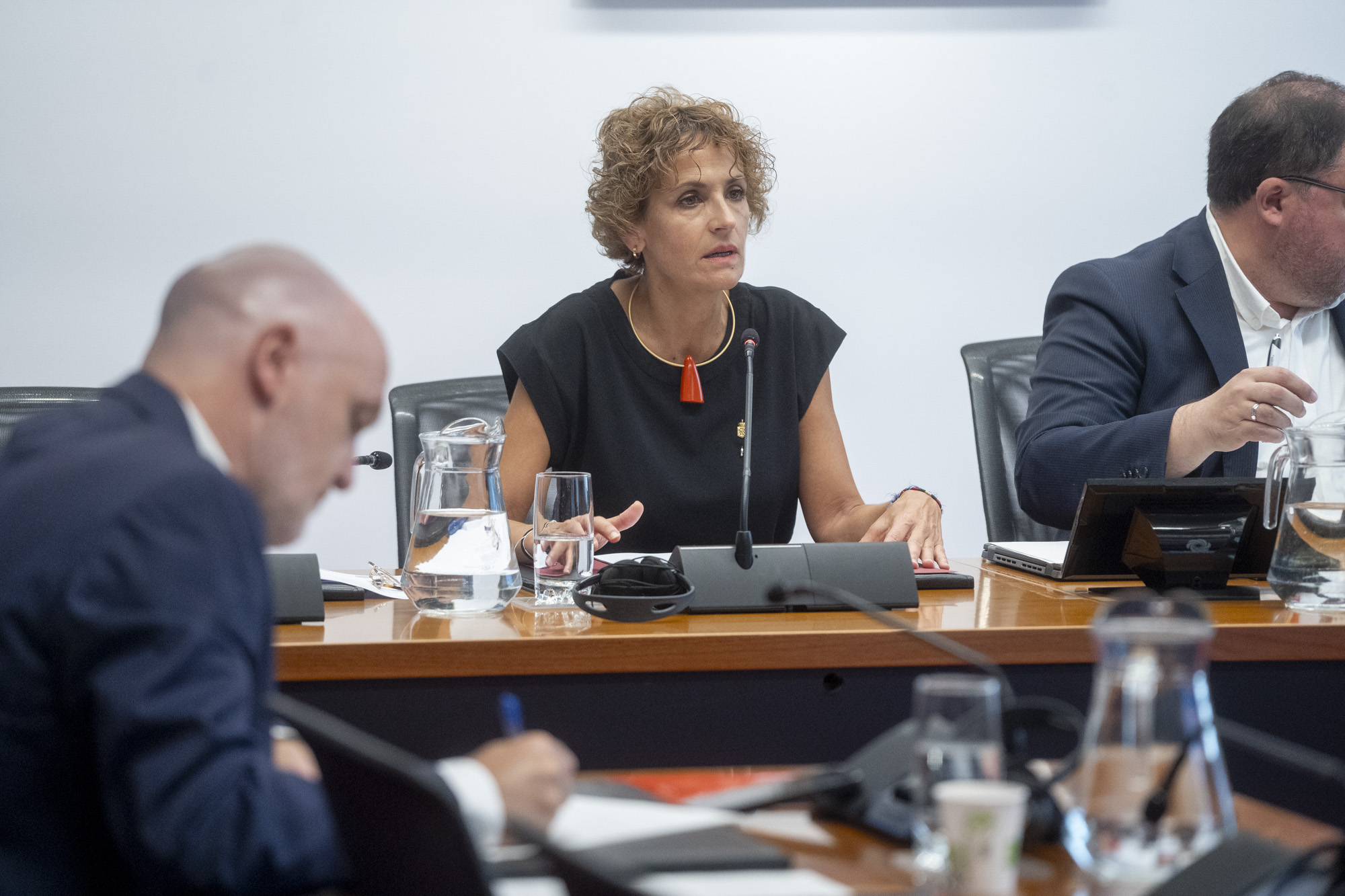 Txibitek zehaztu du Foru Hobekuntzak euskara hizkuntz propiotzat jo behar duela, baina zonifikazioa kendu gabe