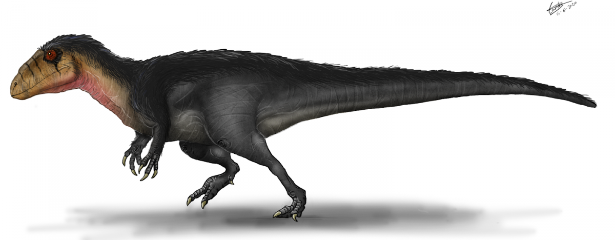 'Lusovenator' espezieko dinosauro bat. @CARLOSDINO88