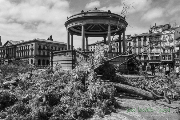 Gazteluko plazako kioskoa, behera botatako zuhaitzen artean. JOXE LACALLE Gazteluko plazako kioskoa, behera botatako zuhaitzen artean. JOXE LACALLE