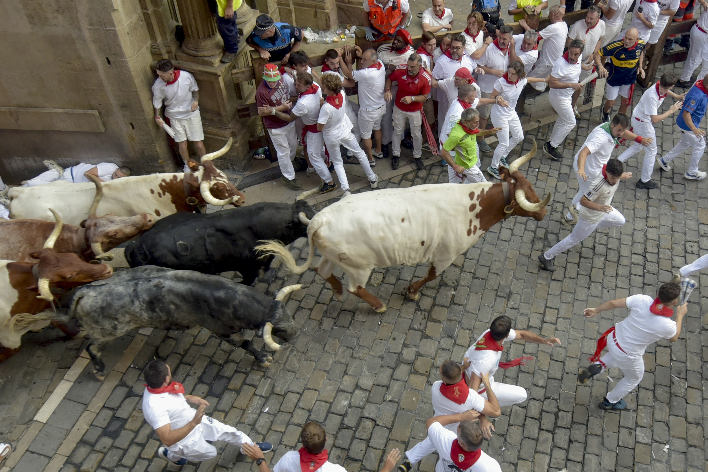 Udaletxe parean, idia taldeburu. JOSE LUIS CARRION / EFE