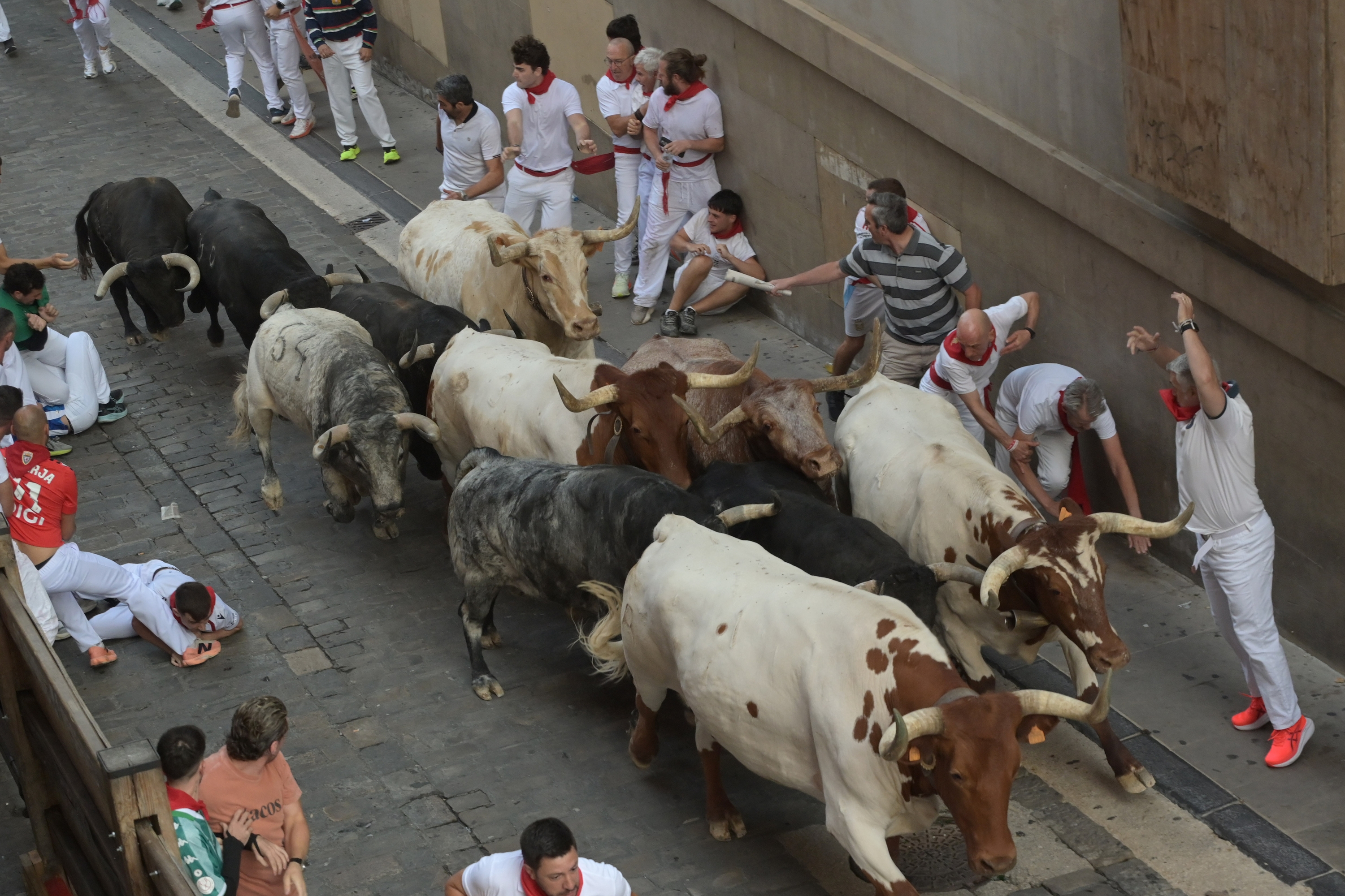 San Domingo aldapan, idia aurretik eta taldea elkarturik. JOSE LUIS CARRION / EFE