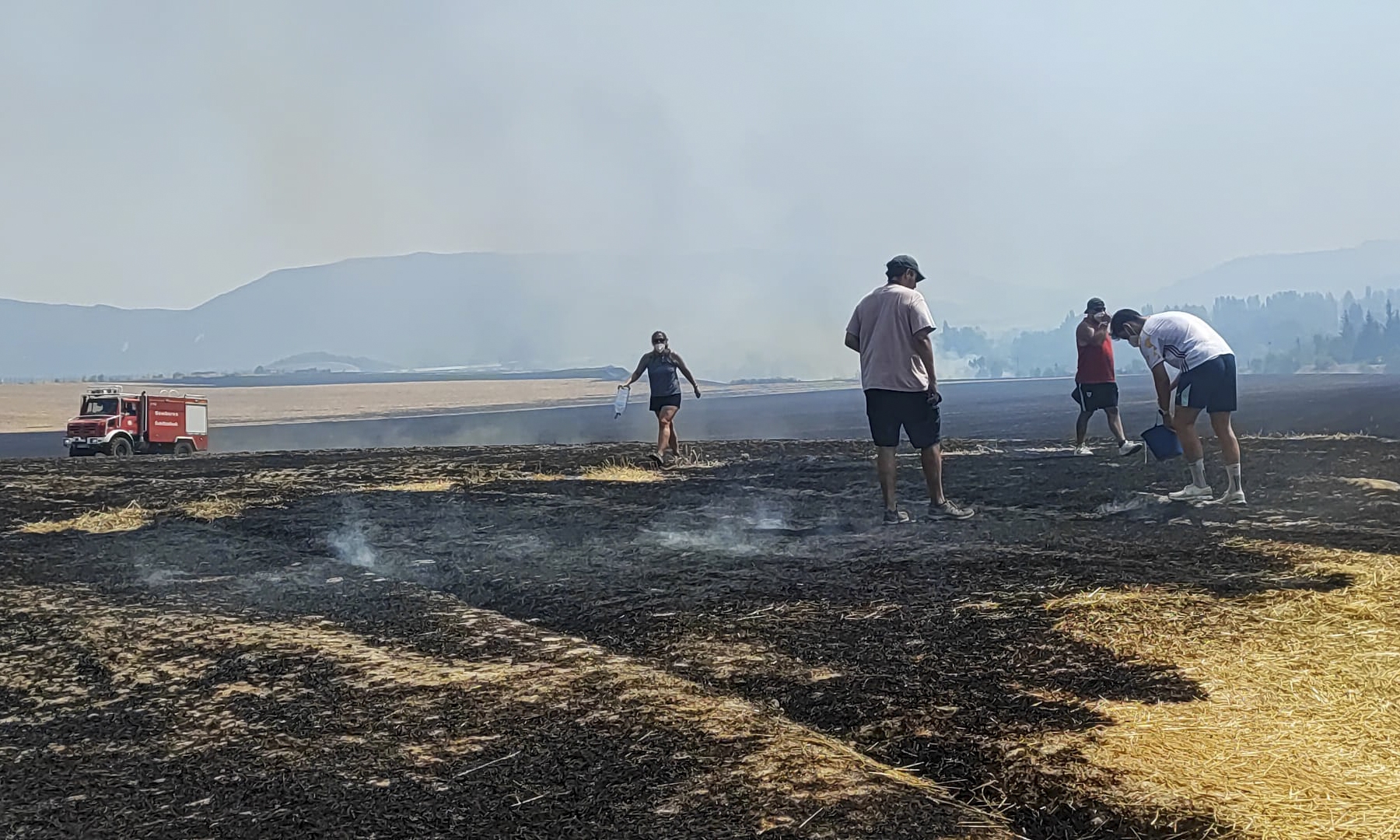 Suteak erretako labore lurrak, gaur arratsean, Ezkirotz aldean. IÑIGO URIZ / FOKU