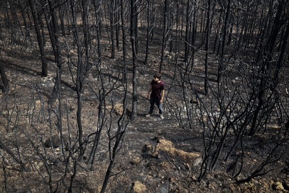 San Martin Unx inguruko basoak, kiskalita, 2022ko ekainaren 18an piztutako suak. ANDONI LUBAKI / FOKU hartu eta gero. San Martin Unx inguruko basoak, kiskalita, 2022ko ekainaren 18an piztutako suak. ANDONI LUBAKI / FOKU hartu eta gero.