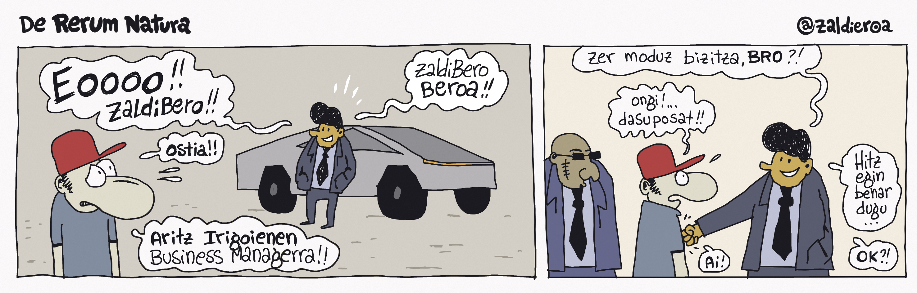Zaldieroa