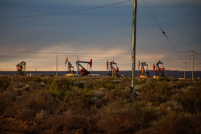 PETROLIOA PETROLIOA