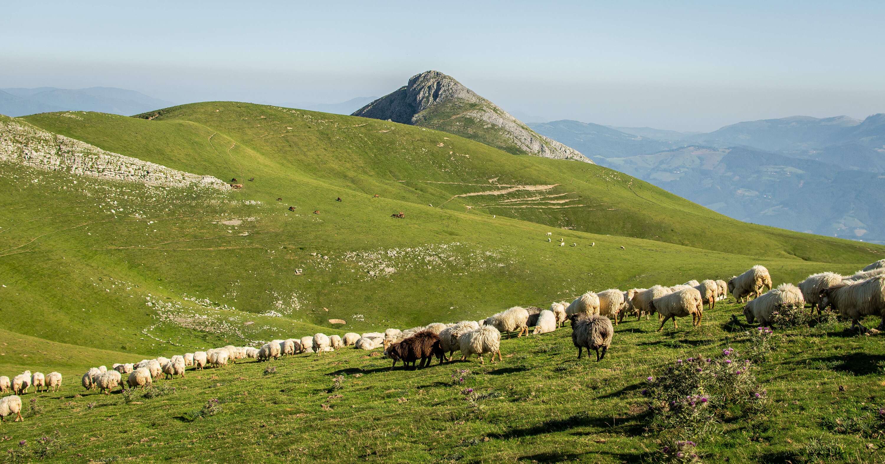 Aralar parke naturala, artxiboko irudi batean. BERRIA