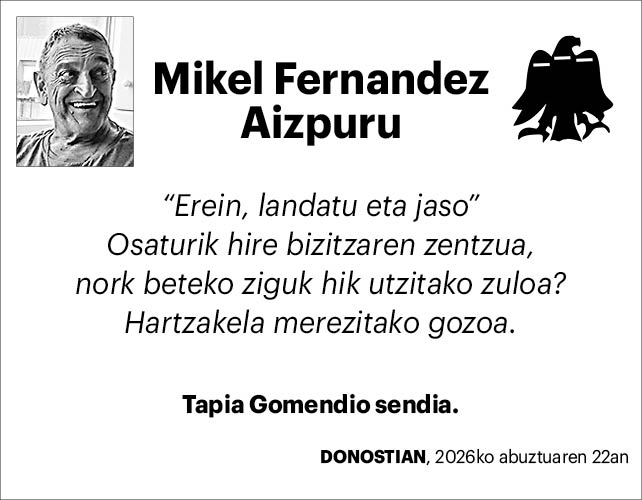mikel fernandez aizpuru