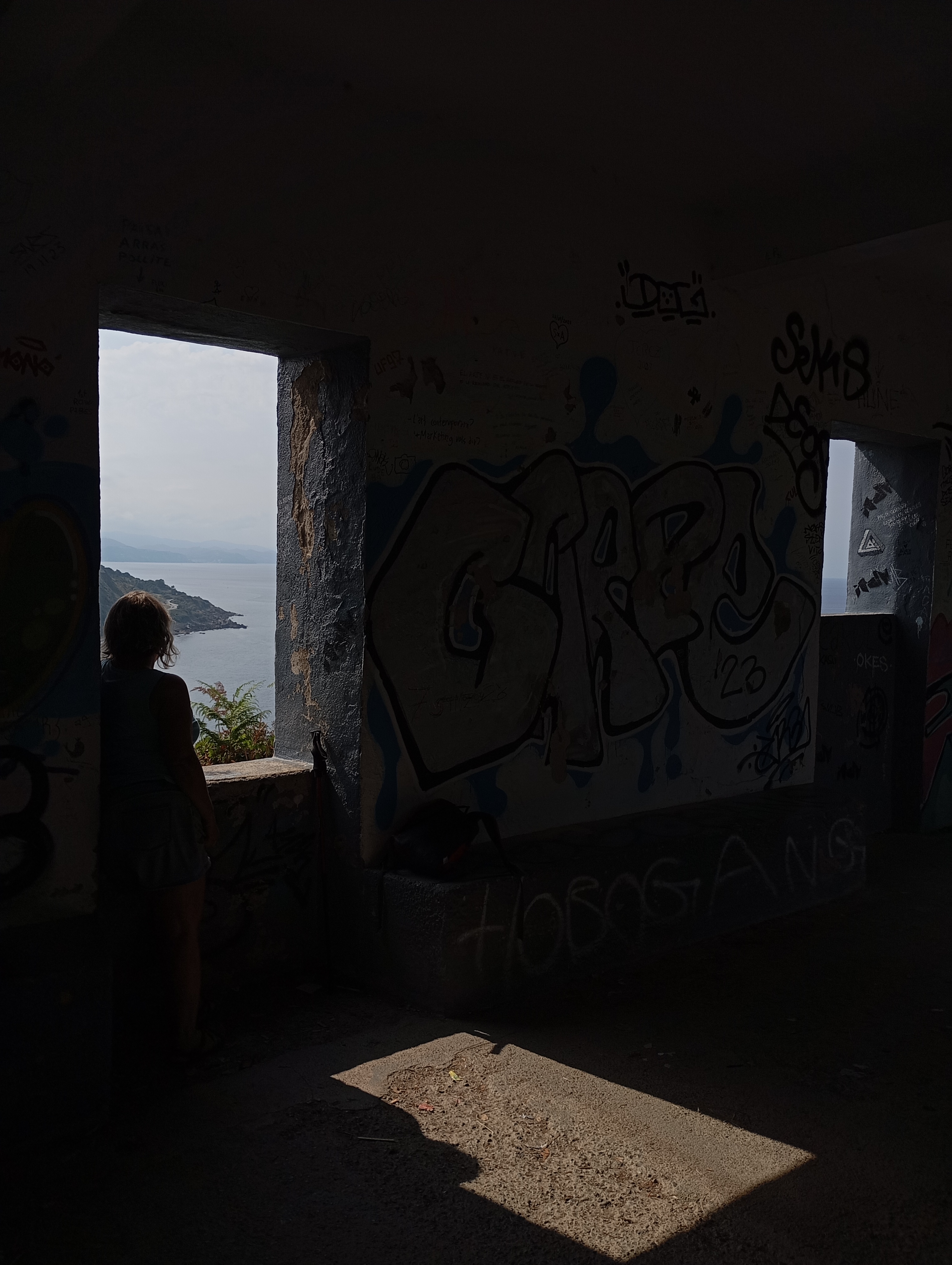 Hiru leiho eta Arri