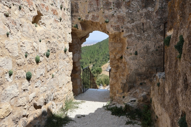 (ID_17876492588795) Zabalate gaztelua, Araban. (ID_17876492588795) Zabalate gaztelua, Araban.