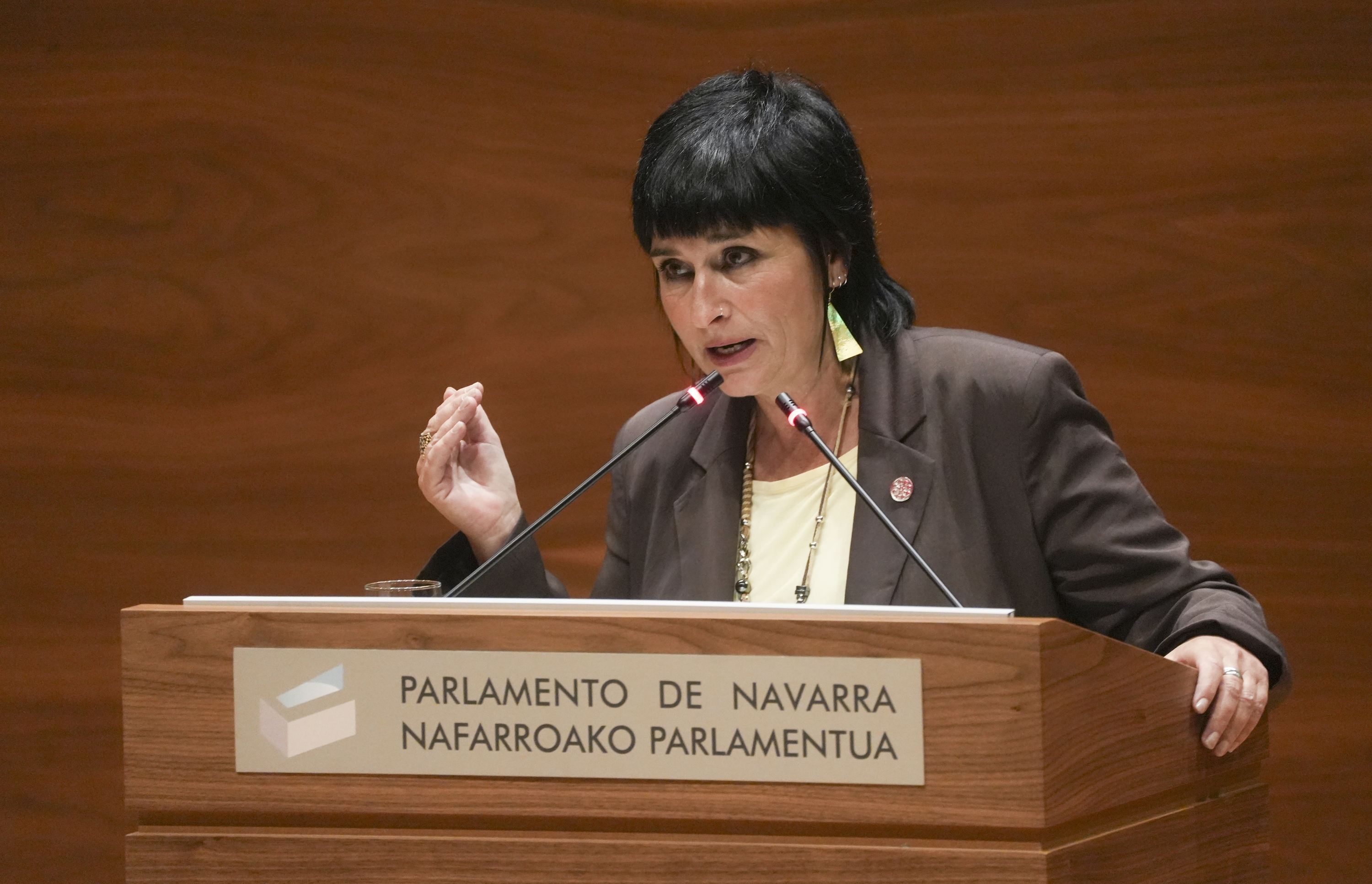 Laura Aznal Nafarroako Parlamentuan. JAGOBA MANTEROLA / FOKU