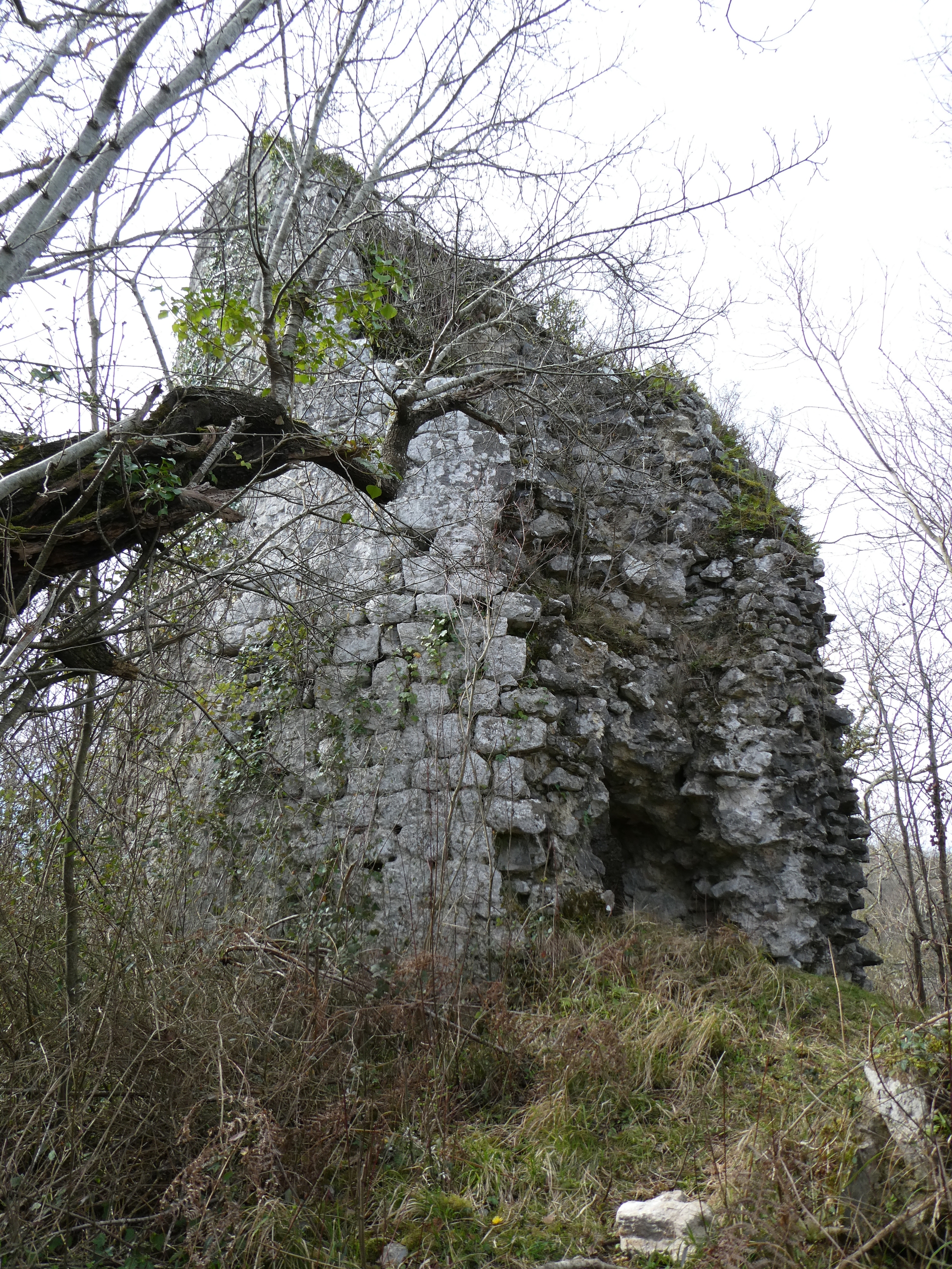 Rocaforteko gazteluaren aurriak. ANTTON ARRIETA
