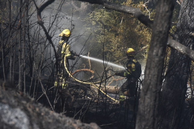 (ID_16369366) ESPAÑA INCENDIOS FORESTALES (ID_16369366) ESPAÑA INCENDIOS FORESTALES