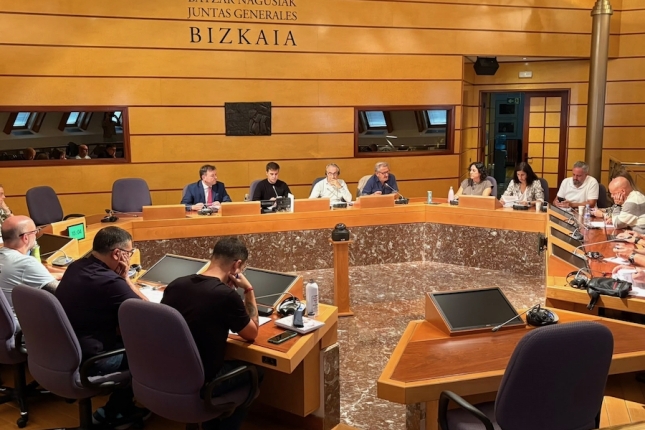 Bizkaiko Batzar Nagusietako Eskaeretarako eta Herritarrakazko Hartu-emonetarako Batzordea, gaur, Bilbon. BIZKAIKO BATZAR NAGUSIAK