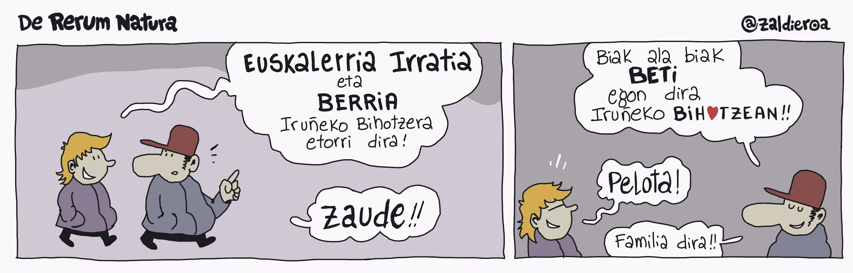 Zaldieroa