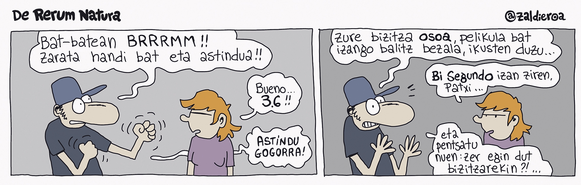 Zaldieroa