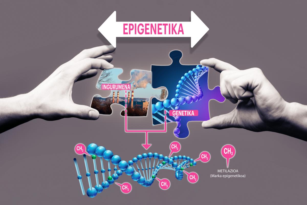 NATIONAL INSTITUTE OF ENVIRONMENTAL HEALTH SCIENCES WEBEKO IRUDIREN BATETIK MOLDATUA