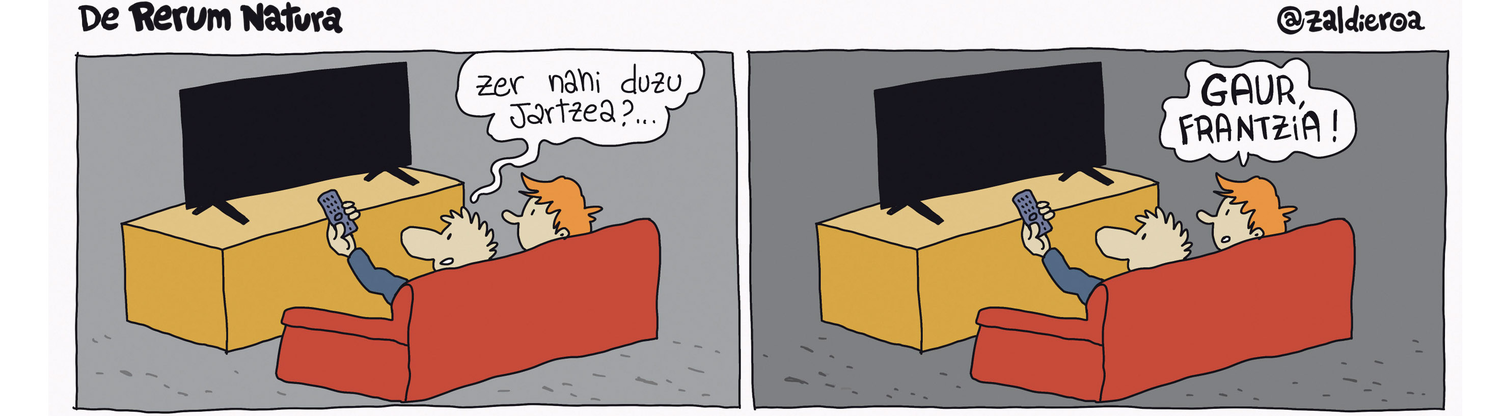 zaldi web