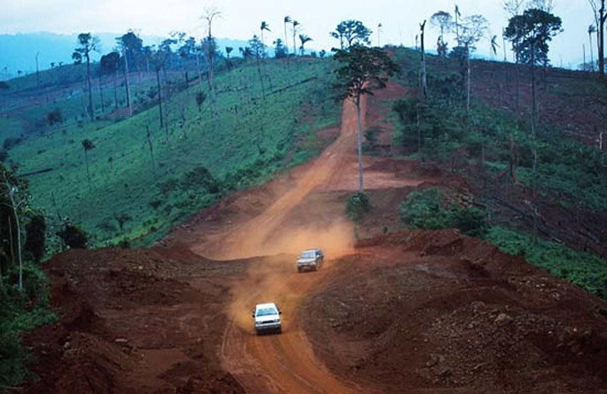 Amazoniako ohian zati bat, deforestatu berritan. FUNAI